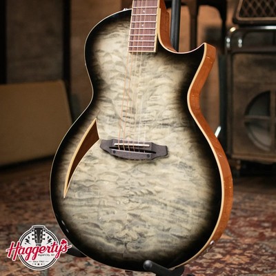 ESP LTD TL-6 Acoustic/Electric Guitar - Charcoal Burst
