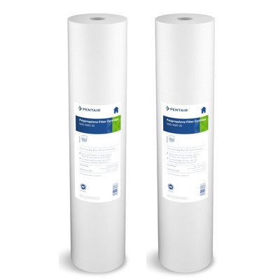 Pentair Pentek DGD-5005-20 Big Blue Water Filter, 20-Inch Whole House Sedimen...