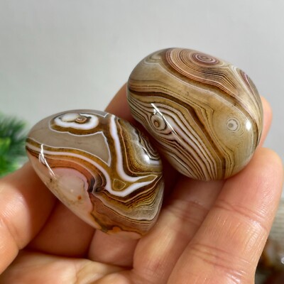 2pc rare Natural Gobi silk wrapped agate Madagascar beautiful to watch 62g c0330