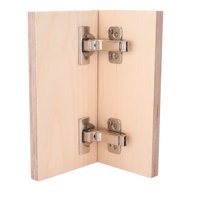 Blum Clip Top 110 Degree Inset Hinge with BLUMOTION