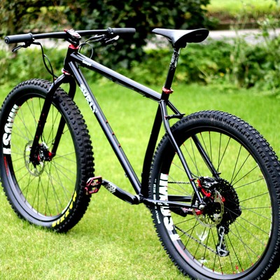 surly 29er