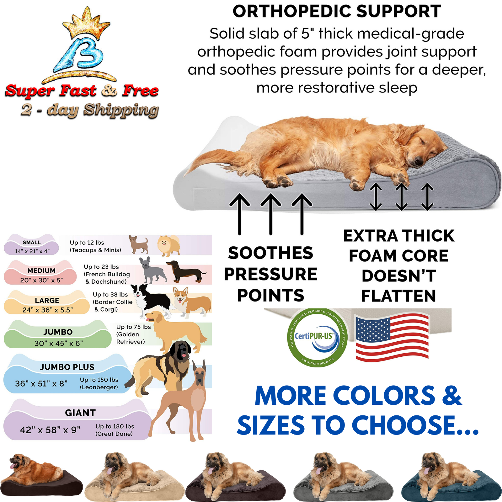 For Small - Giant Dog