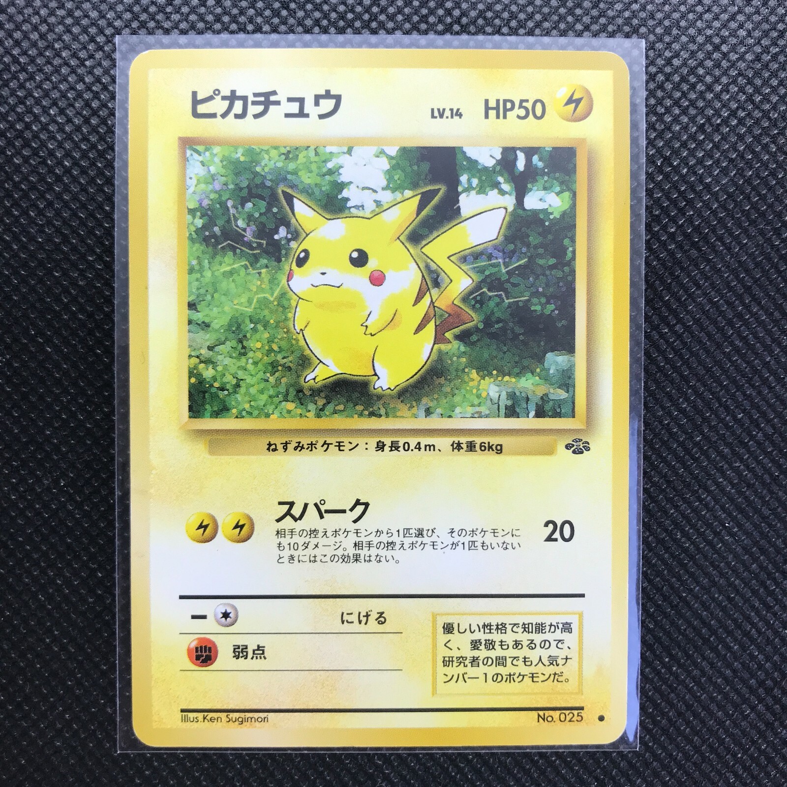 PSA5 プロモ ピカチュウ 旧裏 1996 Lv.16 No.025 希少 Pikachu LV.16 NO.025 OLD BACK JAPAN EDITION MP Pokemon Card