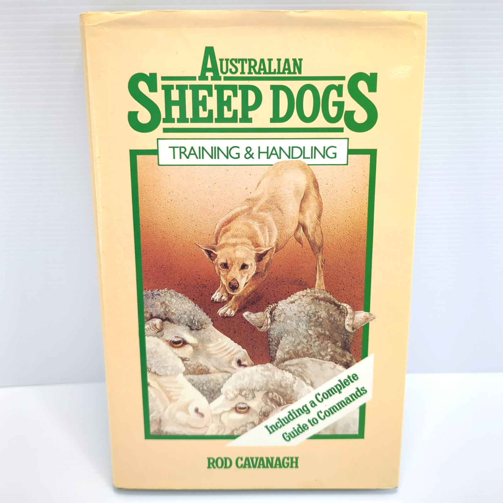 Australian Sheep Dogs: Training & Handling by Rod Cavanagh