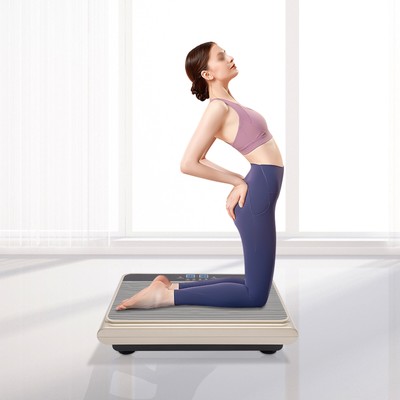 Whole Body Vibration Machine Plate Full Body Exercise Platform with 99 Levels US