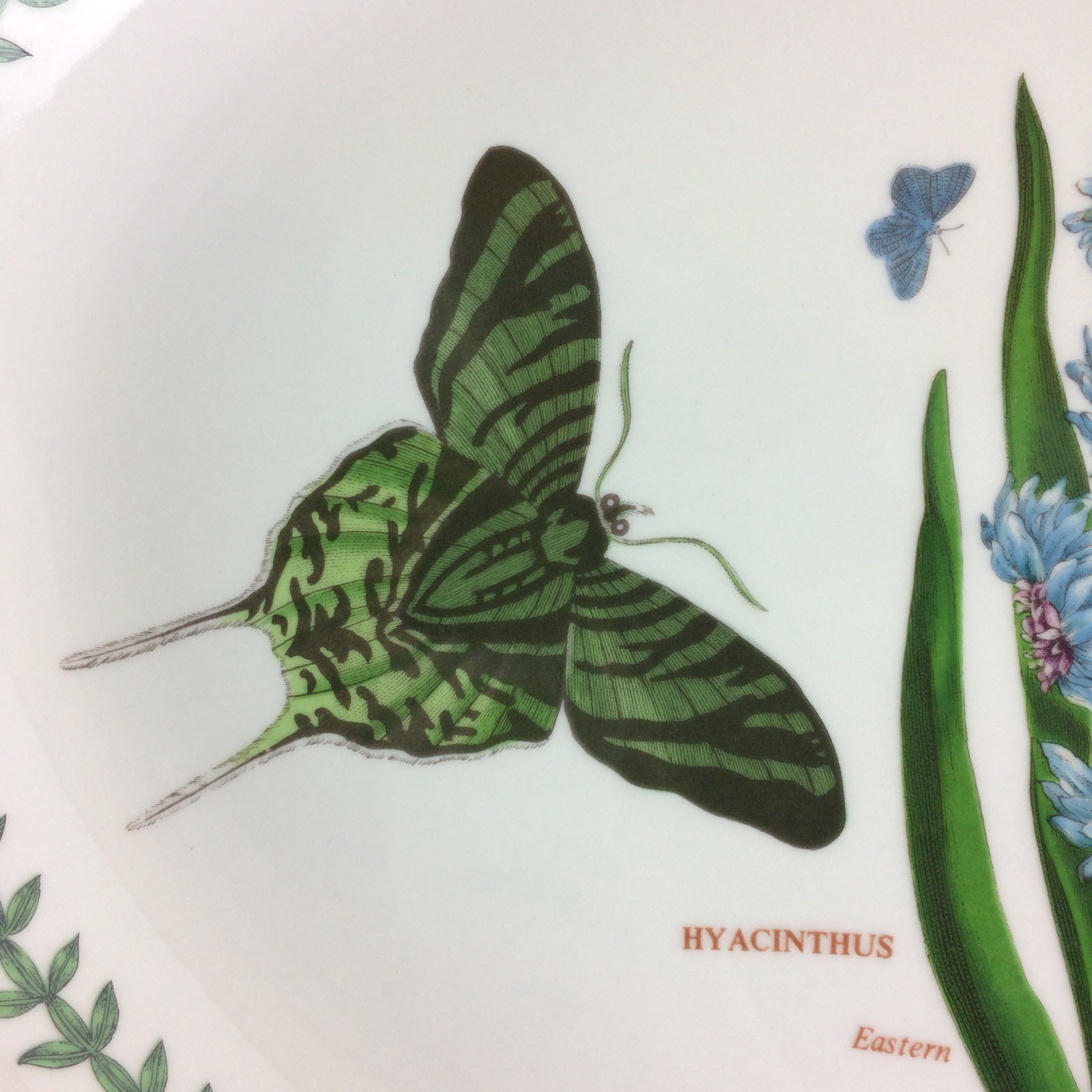 Portmeirion Botanic Garden Oval Platter Plate Hyacinthus Butterfly 13