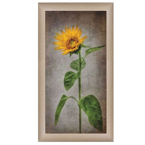 Настенный принт Sunflower II в коричневой рамке