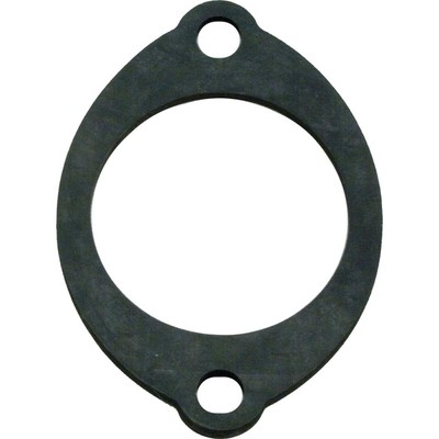 Gasket, Pentair Minimax/PowerMax, Flow Valve, 2''ID, Spl OD
