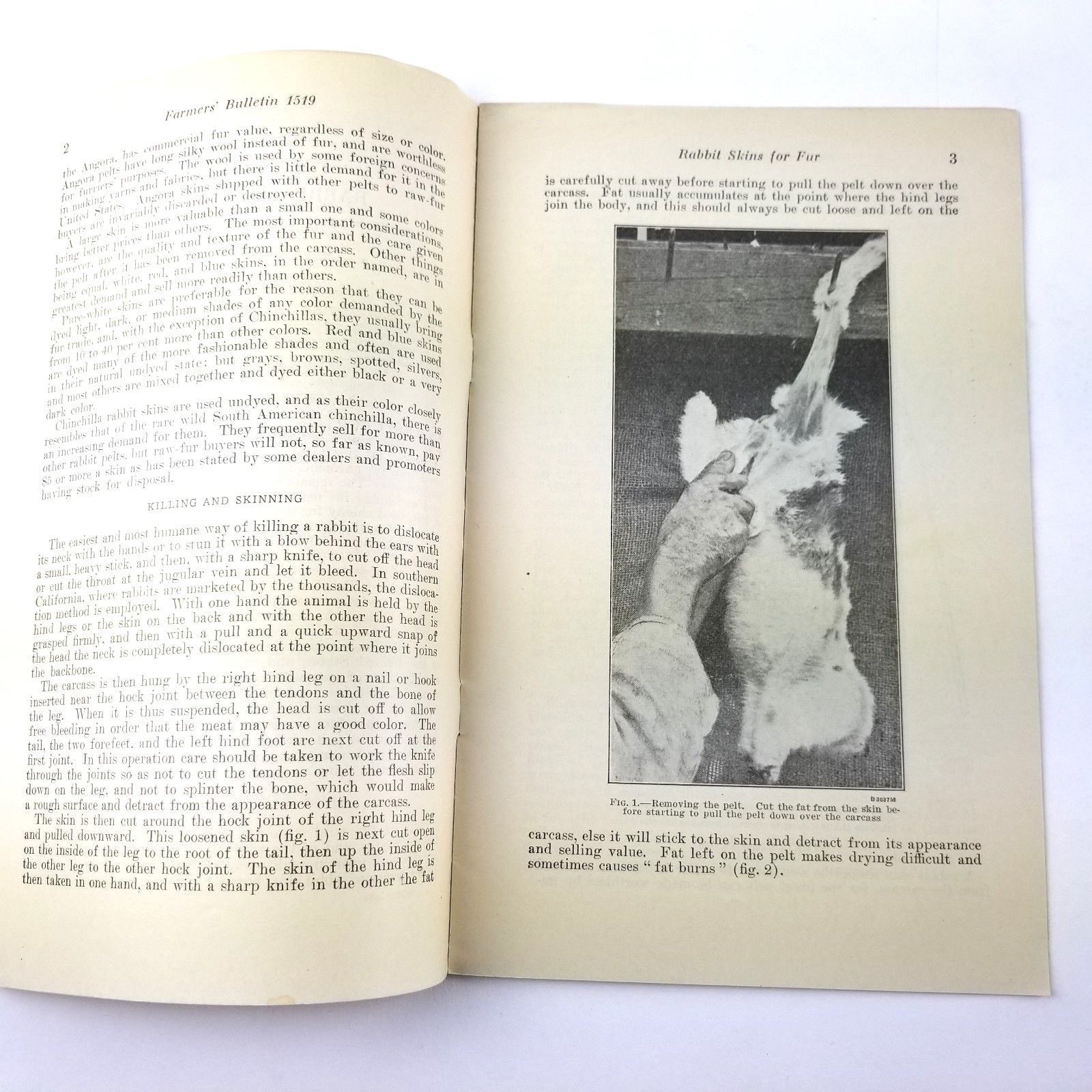 US Department of Agriculture Farmers Bulletin 1519 Rabbit Skins For Fur