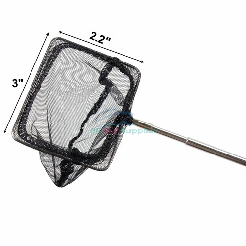 AQUANEAT Shrimp Net, Fish Net Aquarium, Fish Tank Net with Extendable Stainless