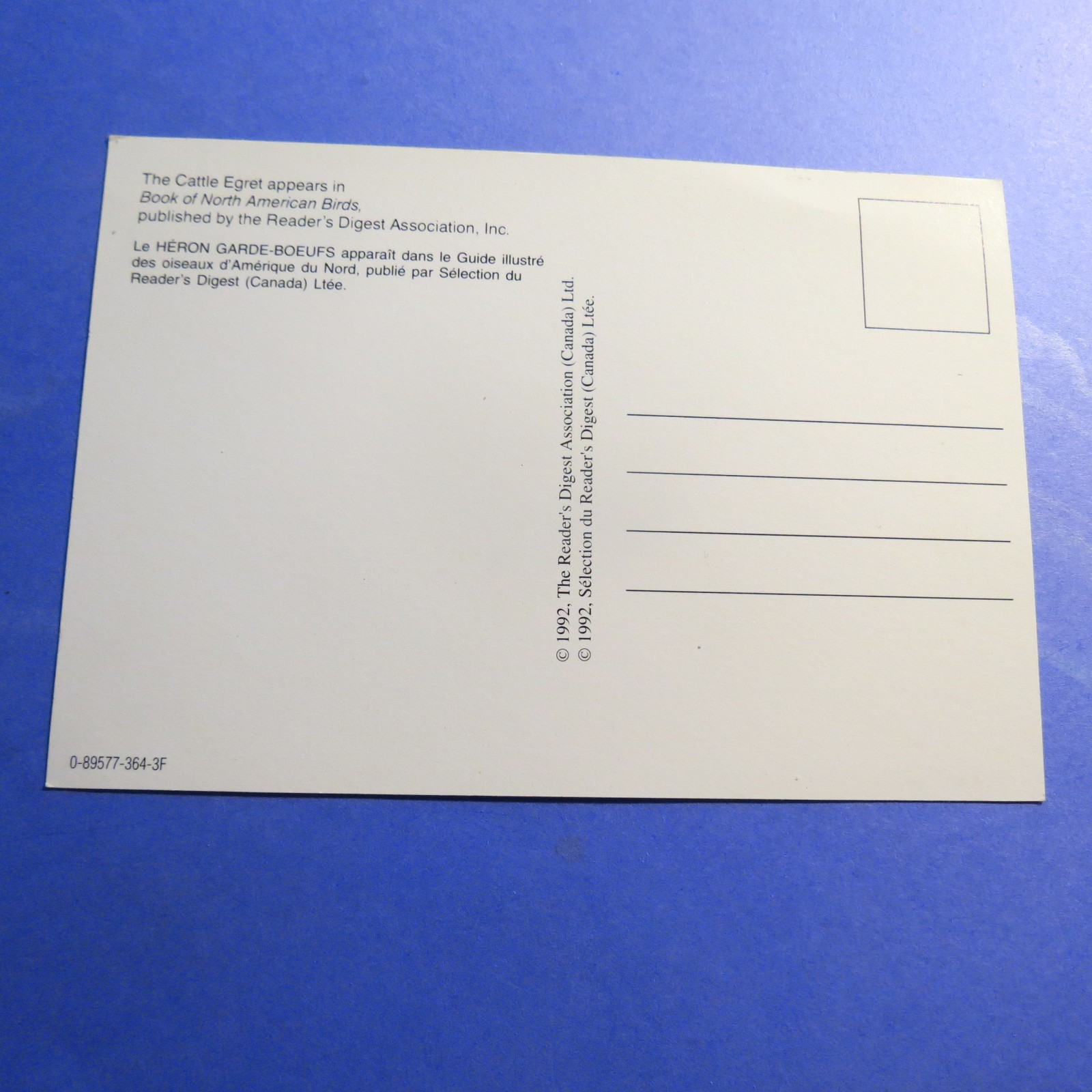 North American Birds The Cattle Egret Vintage Old Postcard PC4200