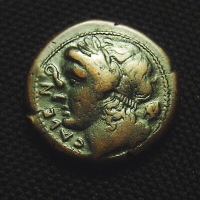 Æ Obol Cales Campania CALENO Apollo Rv Man-headed Bull 7.53 grams 22mm 265-40 BC