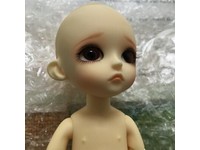 latidoll yellow