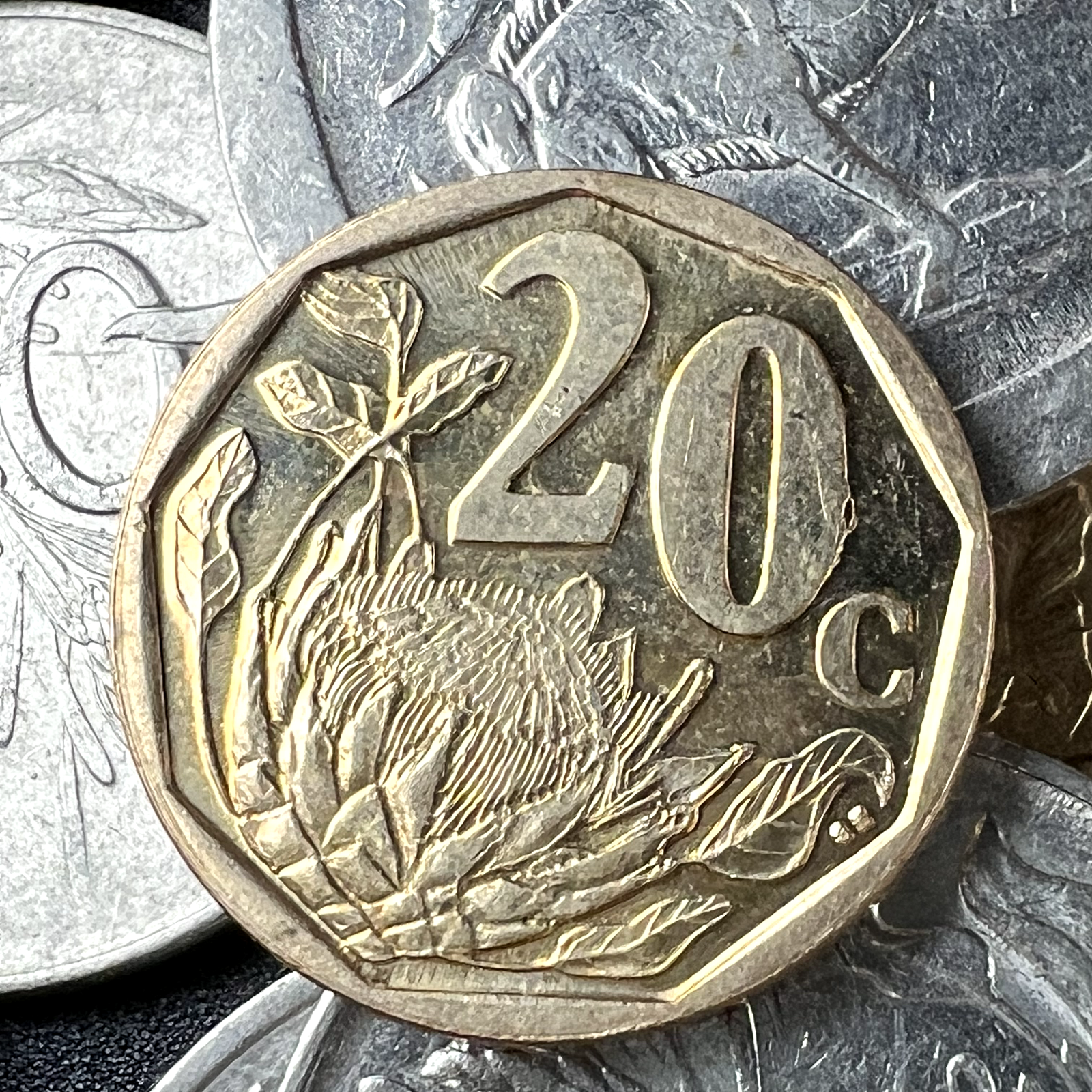 South Africa Coin | 1 Random Collectible Old South African Coin