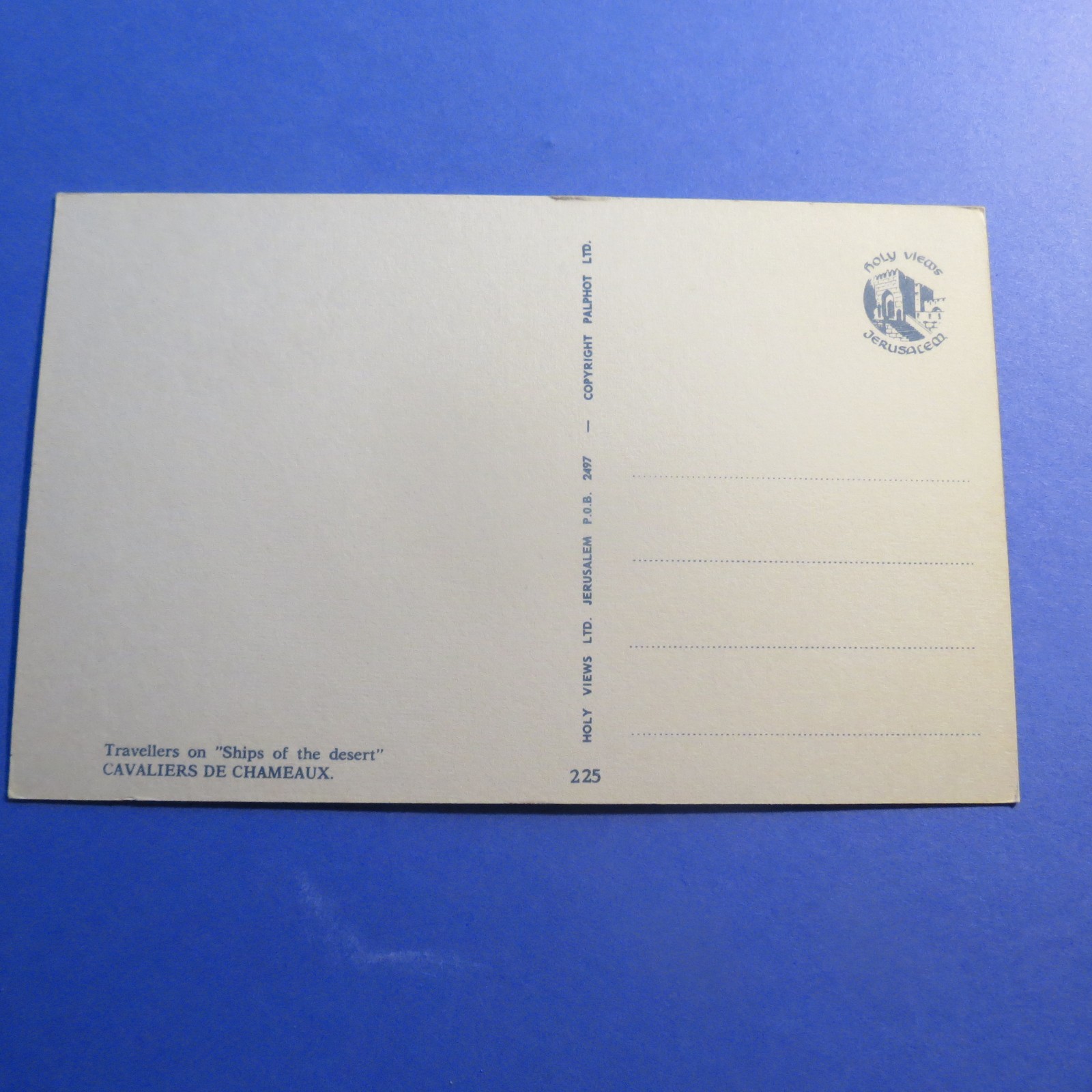 Ships of the Desert Camels Vintage Old  Postcard PC4118