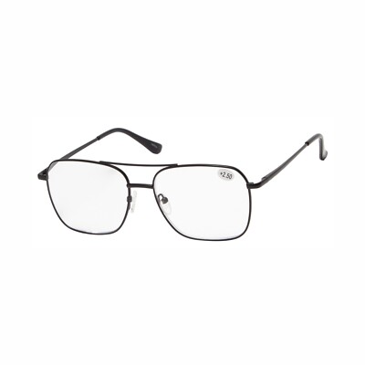 Fashion Reading Glasses with Spring Hinges 3653120