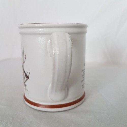 Coffee Cup European Robin DENBY England Scientific Erithacus Rebucela  Mug