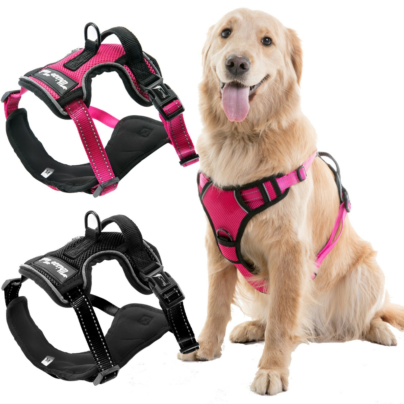 Собака на привязи. Шлейка rukka solid. Амуниция для животных. Шлейка icepeak pet highway harness. 0659 шлея collar для бол.