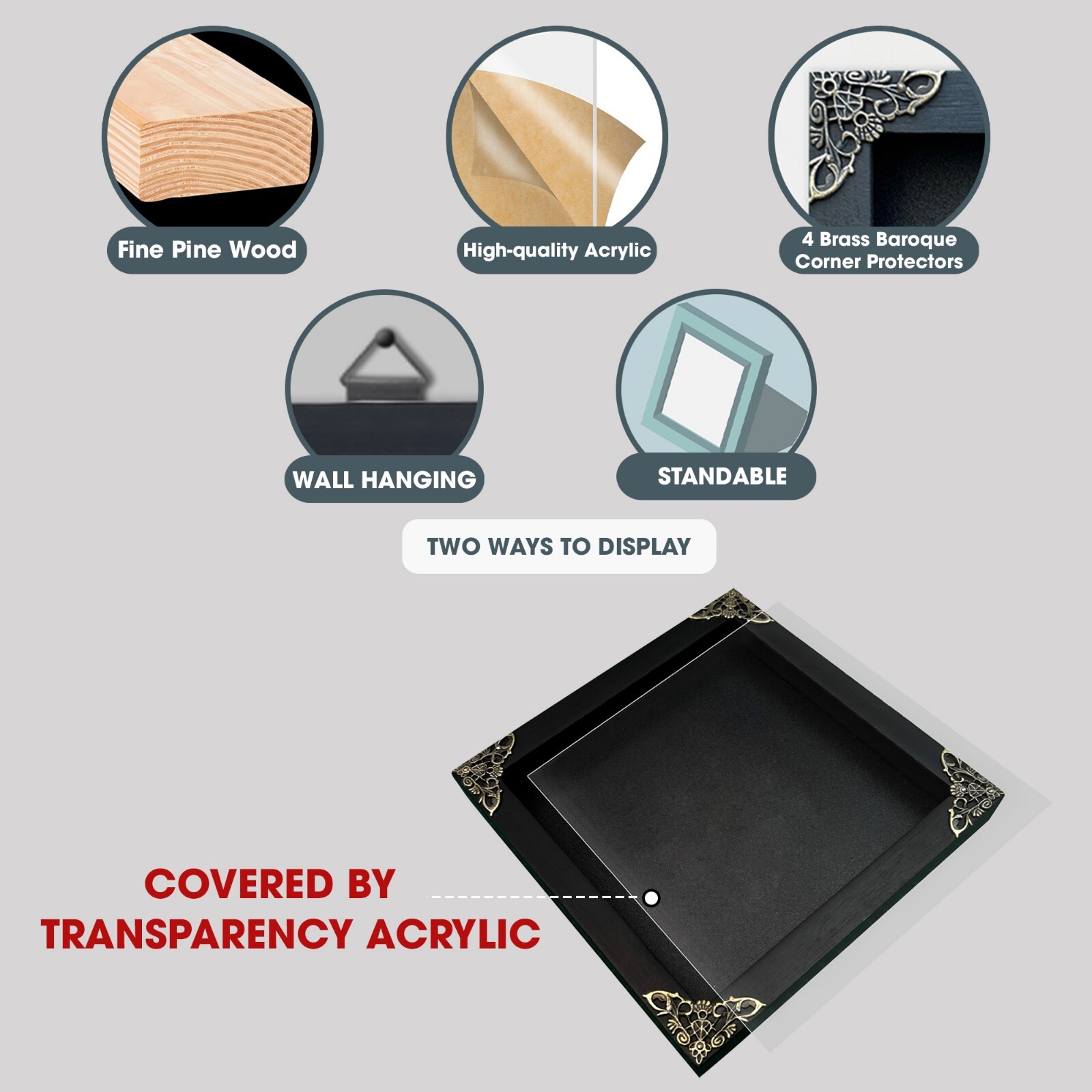 Gothic Art Taxidermy Death Head Moth Framed Real Insect Bug Studio Decor 