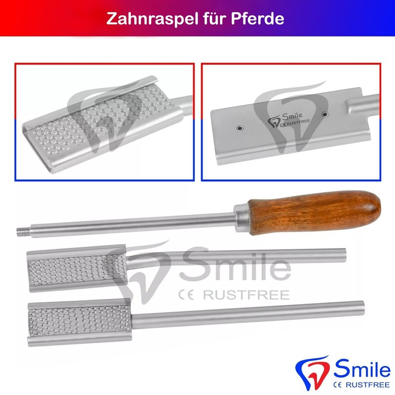 Professionelle Zahnraspel FÃ¼R Pferde Mit Holzgriff Zahnpflege Mundhygiene