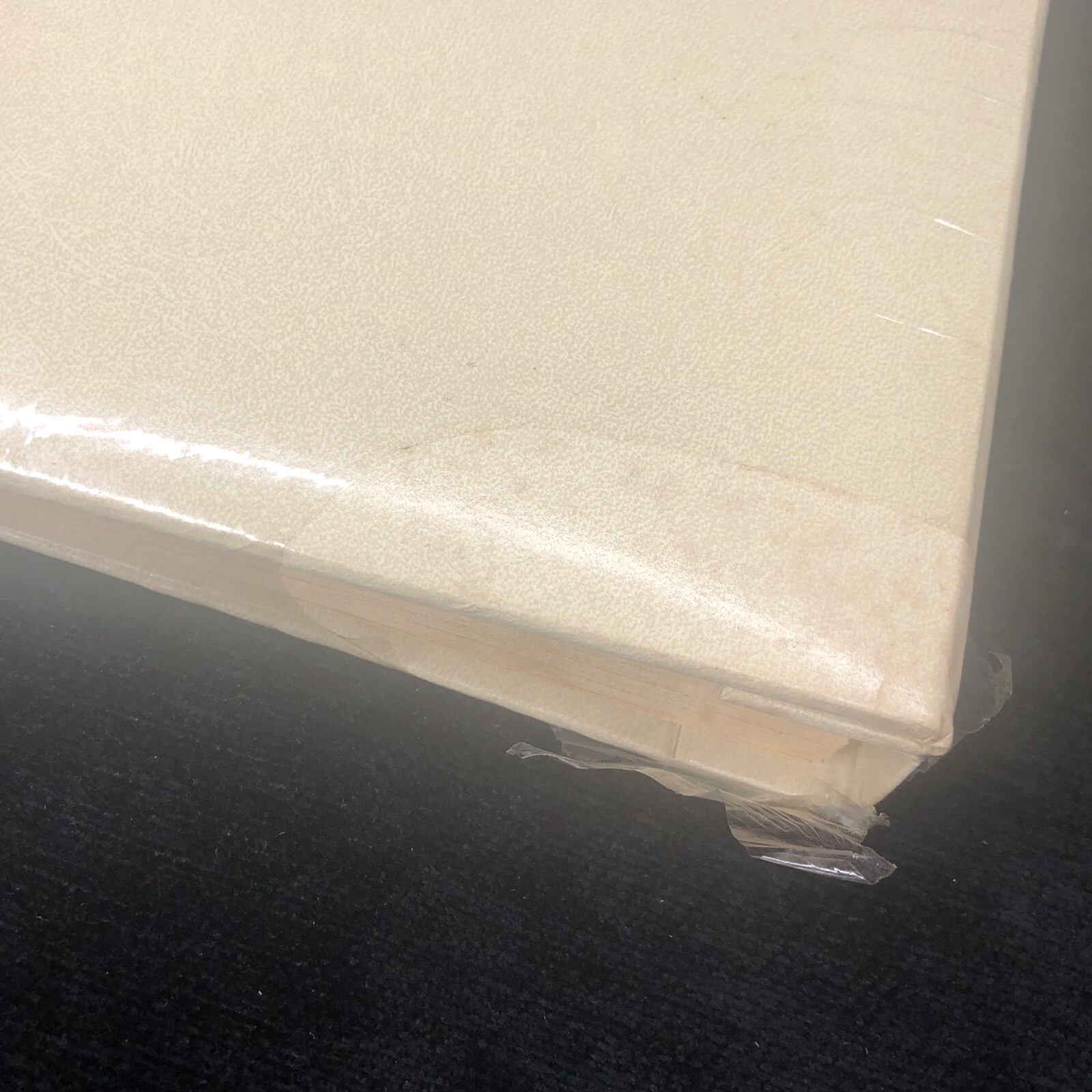 Vintage Century 100 Photo Scrapbook Album 14