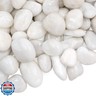 VINICS 5lbs Large Pebbles for Indoor Plants, 2-3 Inch Natural White River Rocks for Aquarium, High Polished Decorative Stones for Vase Filler Fish Tank Landscaping Garden
