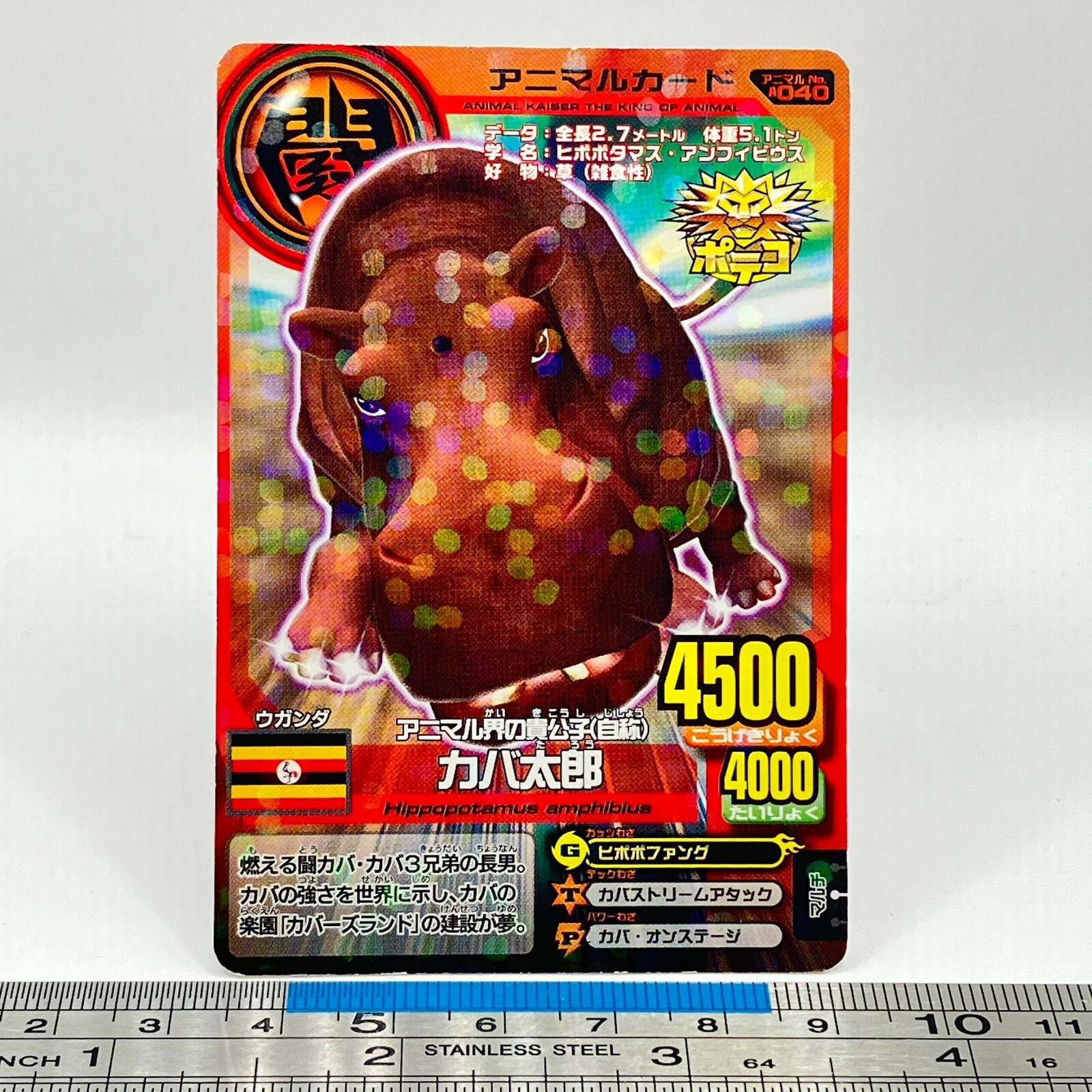 〈新品未開封〉ANIMALCARDGAME 種族戦争 再販予約】[新品ボックス]アニマルカードゲーム ブースター