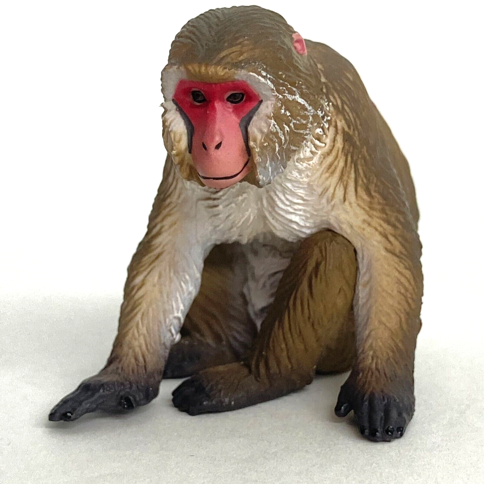 極美品】SWATフルセットnatural mountain monkeys SWAT (座っと