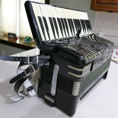 Vintage Castelli Accordion Black 41/120 Harness & Case ~ Made In Italy # A.01488