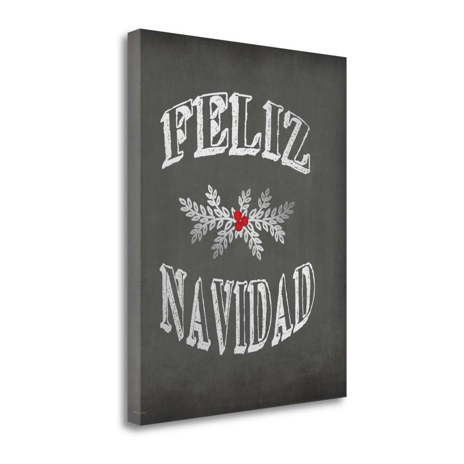 Tangletown Fine Art Feliz Navidad By Jo Moulton Wall Art SBJM11375-1620c | eBay
