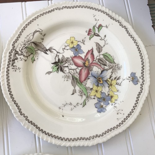 VTG Enoch 1784 Ralph 1750 Woods Burslem England ORCHIS Floral Plate 9