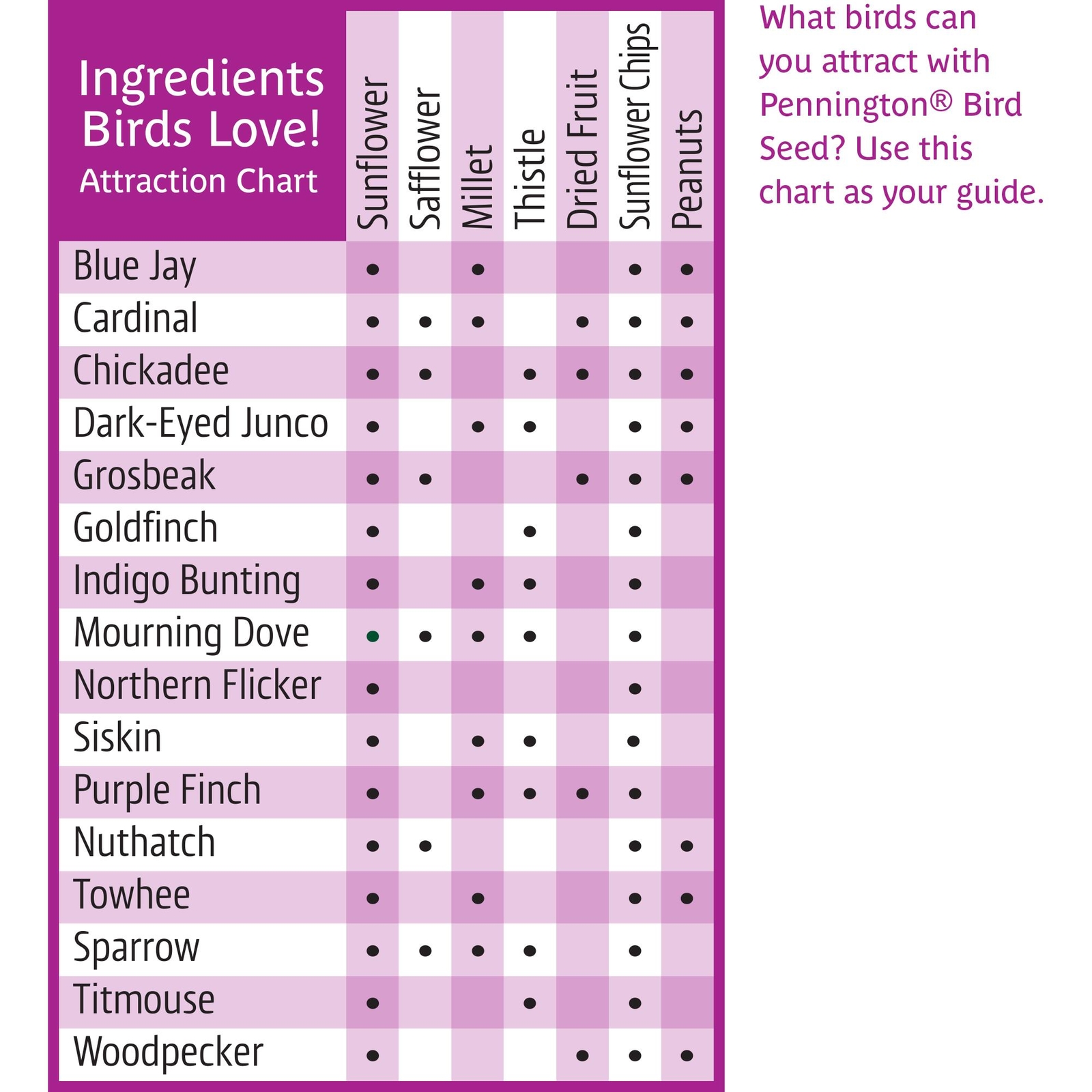 Pennington Ultra Fruit Nut Wild Bird Seed Food Backyard Blue Jay Cardinal Grain