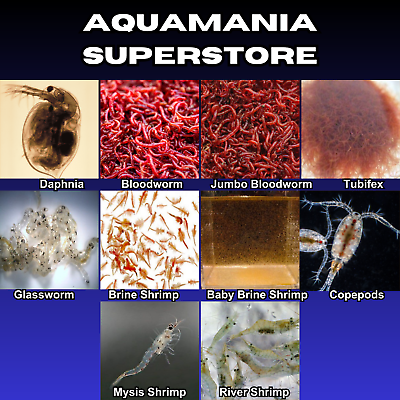 Live Fish Food Tropical ,Marine Bloodworm Daphnia Tubifex Brine Shrimp  Copepods