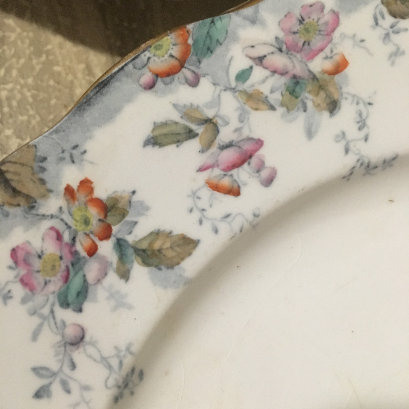 10 Antique Ridgways Royal Semi Porcelain Floral Dinner Plates Claredon 1800's
