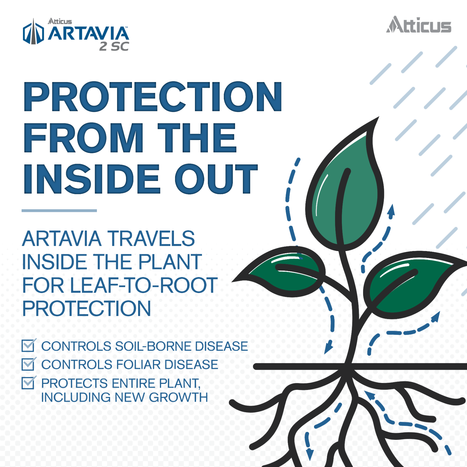 Artavia 2SC Azoxystrobin 22.9% Fungicide (16oz) - Compare to Heritage
