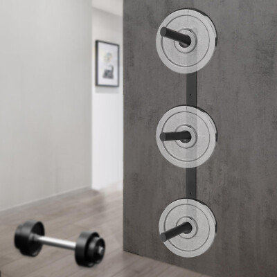 Weight Plate Storage Rack, Wall Mounted Holder, Bumper for Home Gym for 1.89''