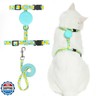 PUPTECK Adjustable Cat Harness and Leash Set Escape Proof Kitten Strap Collar for Walking Travel, Lemon Pattern