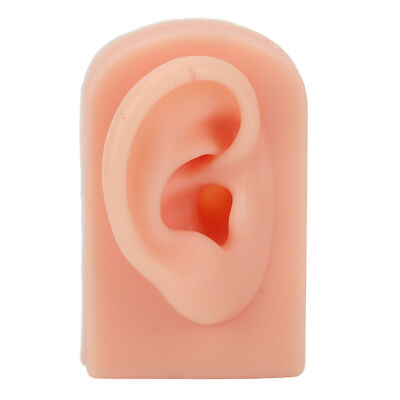 Silicone Ear Model Soft Flexible Right Ear Reusable Human Ear Model For Ear HMO