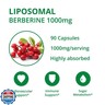 UpNourish Liposomal Berberine Supplement - Advanced Berberine HCl 1000mg Plus Ceylon Cinnamon, Chromium Picolinate, Curcuminoids, Resveratrol, Green Tea and Yerba Mate - 90 Vegan Capsules