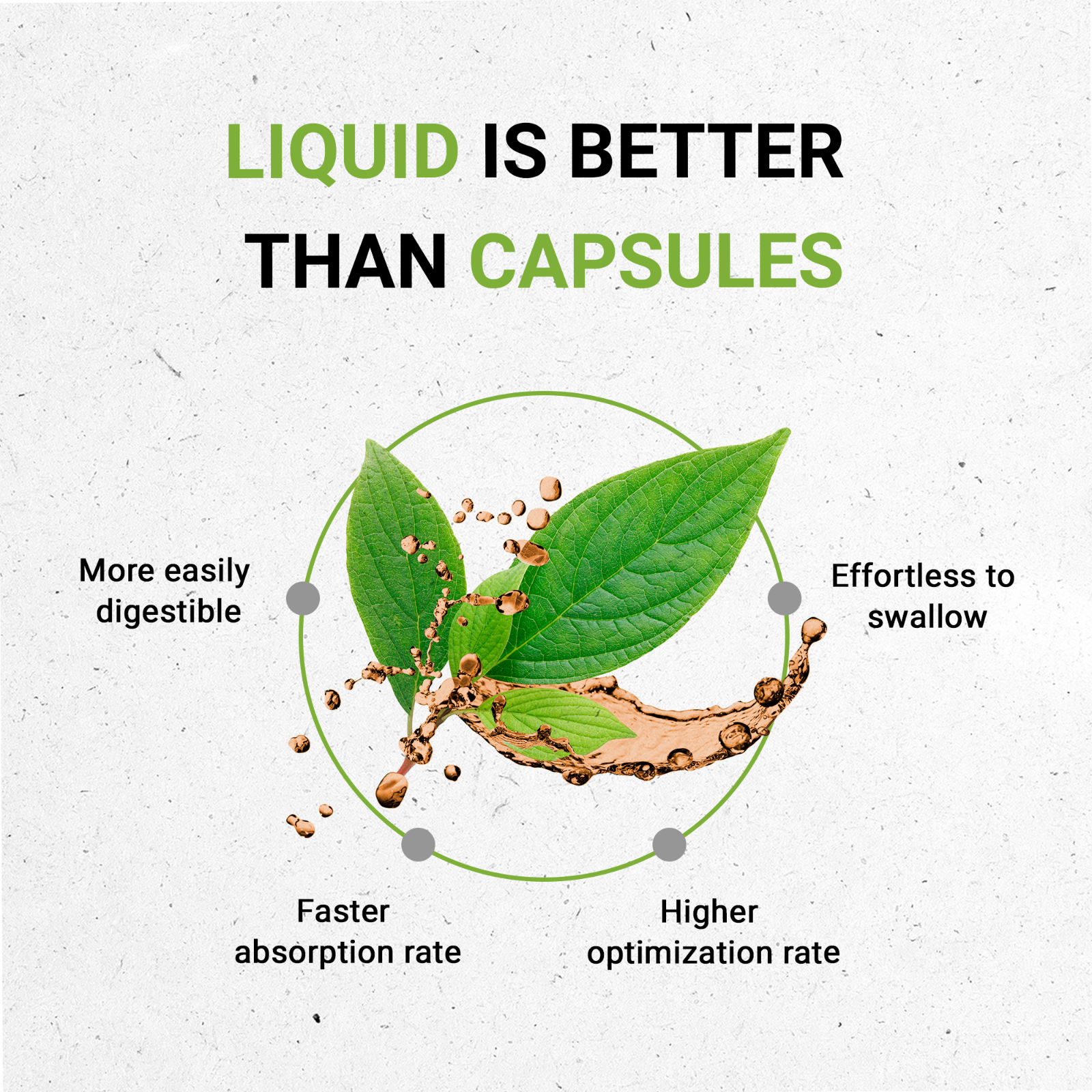 Secrets Of The Tribe Guggul Tincture Alcohol-FREE  