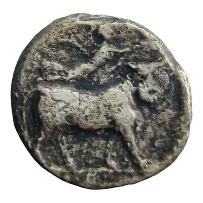 Campania Neapolis AR Silver Didrachm Nomos Coin 275-250 BC Man Headed Bull 6F