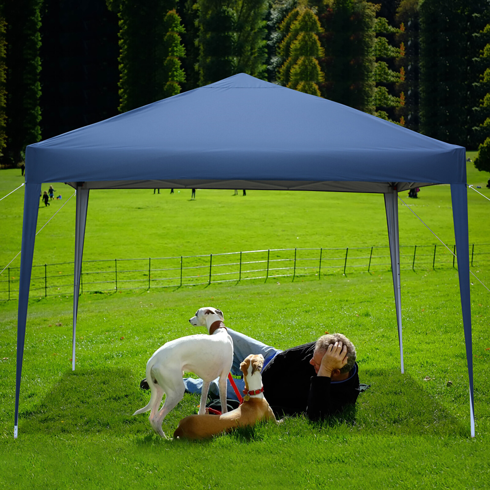 Tent Outdoor Patio Wedding Party Tent Folding Gazebo