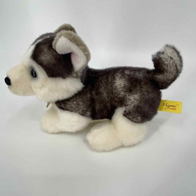 miyoni husky
