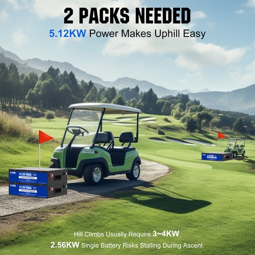 48V 50Ah 100Ah Metal Case LiFePO4 Lithium Battery Deep Cycle BMS Golf Cart Solar