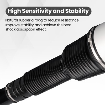 Rear Air Suspension Strut Shock For Mercedes S Class W220 S430 S500 2203205013