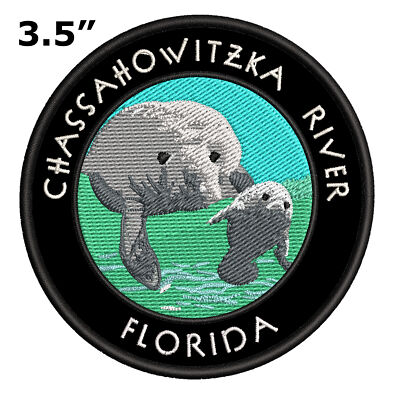 Chassahowitzka River Florida Patch Embroidered Iron-On Applique Nature Badge