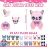 63 Pcs Adopt a Cat Party Favors Include 20 Foldable Kitten Boxes 20 Mini Stuffed Cats 20 Card 1 Sign 2 Fence for Adopt a Kitty Party Favors Cat Supplies Gifts