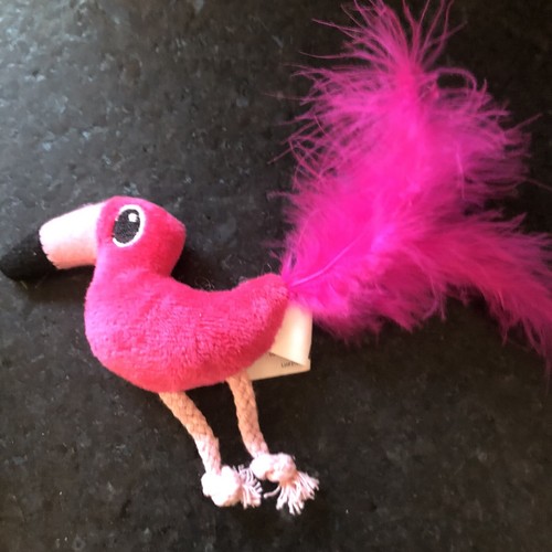 Quirky Kitty Cat Toys (Pack of 3)