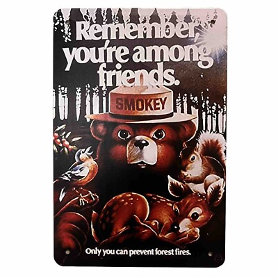 Smokey The Bear - Forest Fire Prevention Metal Sign Wall Art Print Decor   8x12 
