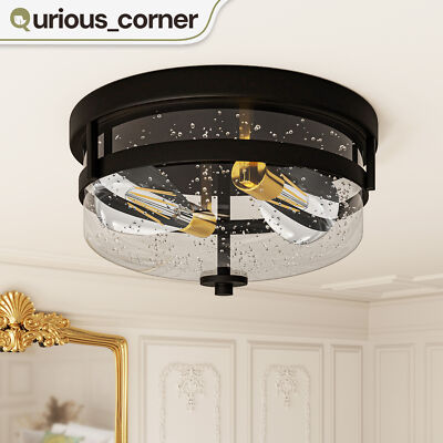 Flush Mount Ceiling Light Fixture 2-Bulbs w/ Seeded Glass Shade Industrial Style